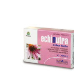 ECHINUTRA