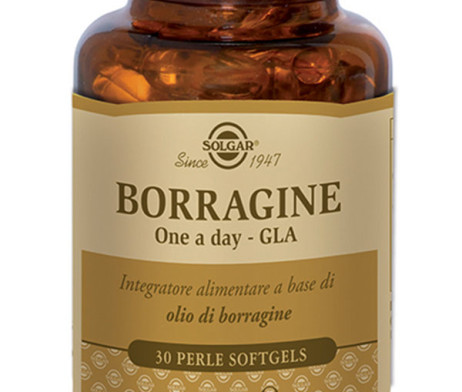 BORRAGINE